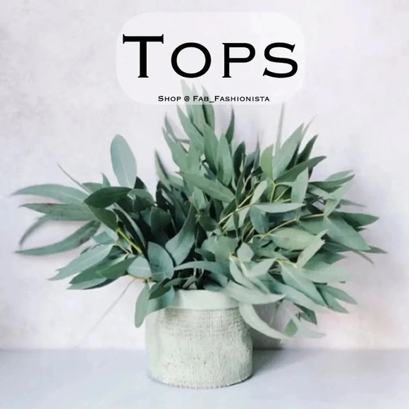 Blouses - Picture 1 of 3